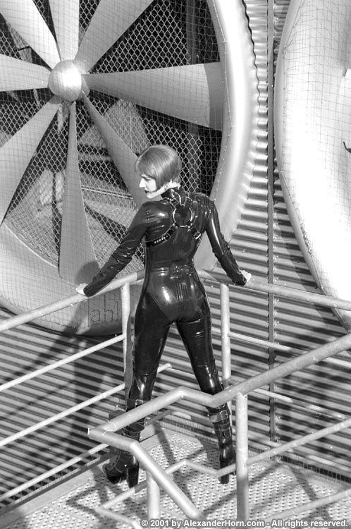 Photo by Alexander Horn